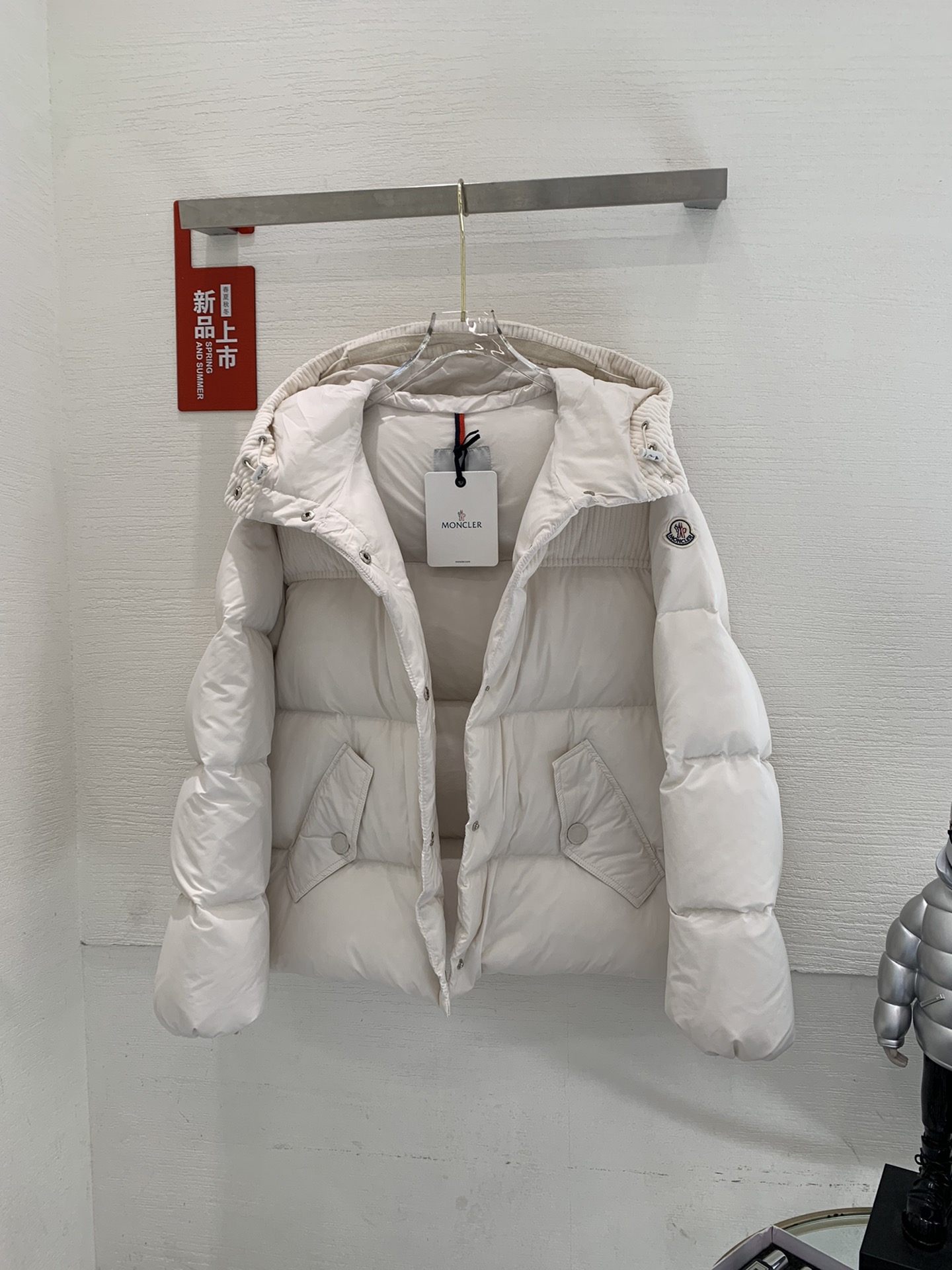 Moncler Down Jackets